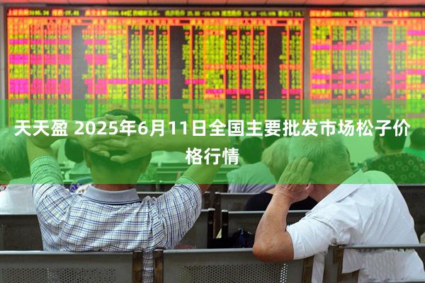天天盈 2025年6月11日全国主要批发市场松子价格行情