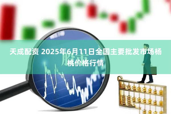 天成配资 2025年6月11日全国主要批发市场杨桃价格行情