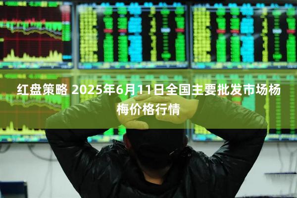 红盘策略 2025年6月11日全国主要批发市场杨梅价格行情