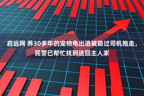 启远网 养30多年的宠物龟出逃被路过司机抱走，民警已帮忙找到送回主人家