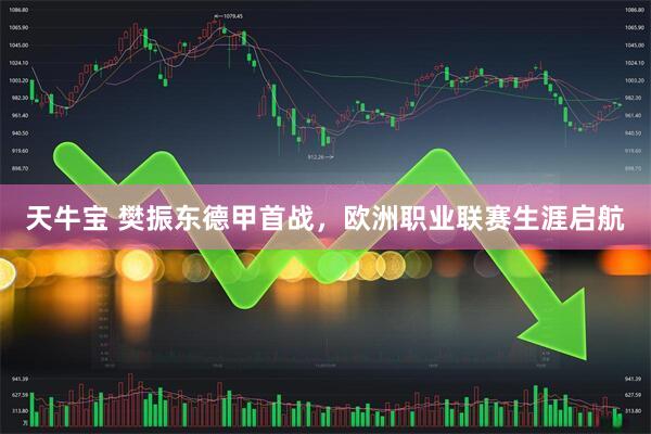 天牛宝 樊振东德甲首战，欧洲职业联赛生涯启航