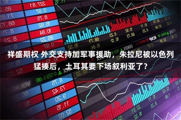 祥盛期权 外交支持加军事援助,朱拉尼被以色列猛揍后,土耳其要下场叙利亚了?