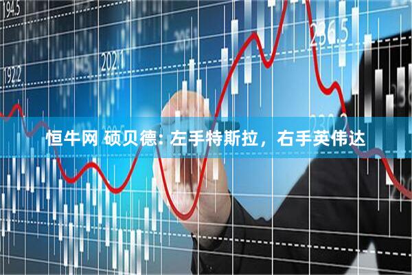 恒牛网 硕贝德: 左手特斯拉，右手英伟达