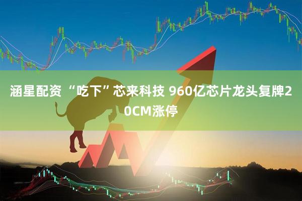 涵星配资 “吃下”芯来科技 960亿芯片龙头复牌20CM涨停