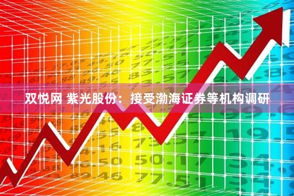 双悦网 紫光股份：接受渤海证券等机构调研