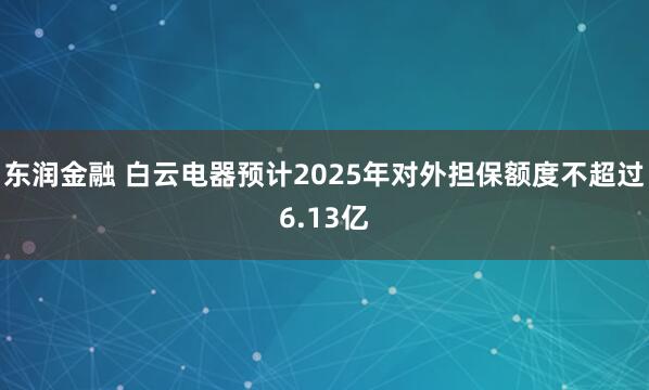 东润金融 白云电器预计2025年对外担保额度不超过6.13亿